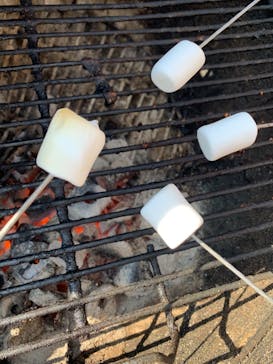 福田フルーツパークに投稿された画像（2020/12/22）