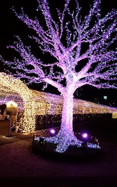 東京メガイルミに投稿された画像（2020/12/22）