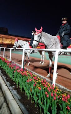 東京メガイルミに投稿された画像（2020/12/22）