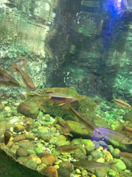 伊豆・三津シーパラダイスに投稿された画像（2020/12/22）