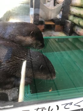 伊豆・三津シーパラダイスに投稿された画像（2020/12/22）