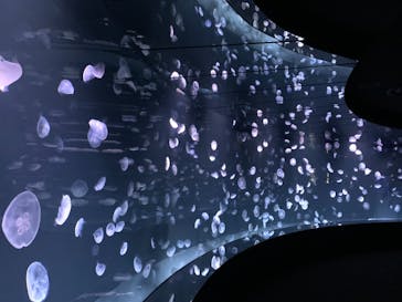 サンシャイン水族館に投稿された画像（2020/12/22）