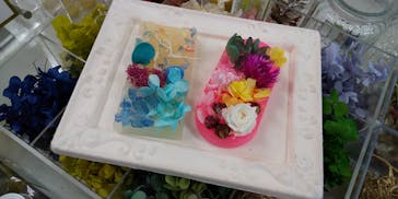 ずこうしつ〜sugamo〜に投稿された画像（2020/12/22）