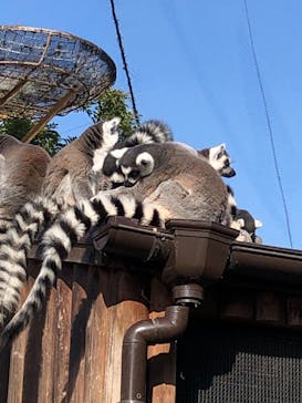 神戸どうぶつ王国に投稿された画像（2020/12/22）