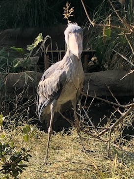 神戸どうぶつ王国に投稿された画像（2020/12/22）