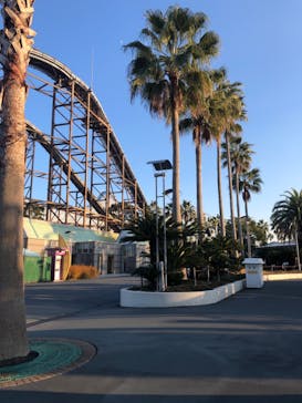 ナガシマスパーランドに投稿された画像（2020/12/22）