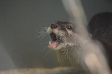 サンシャイン水族館に投稿された画像（2020/12/22）