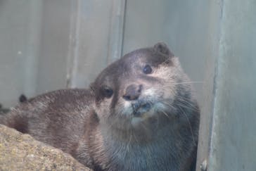サンシャイン水族館に投稿された画像（2020/12/22）