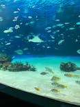 サンシャイン水族館に投稿された画像（2020/12/22）