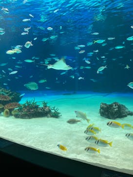 サンシャイン水族館に投稿された画像（2020/12/22）