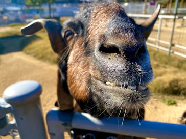 天王寺動物園に投稿された画像（2020/12/22）