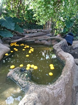 神戸どうぶつ王国に投稿された画像（2020/12/22）