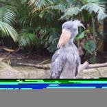 那須どうぶつ王国に投稿された画像（2020/12/22）