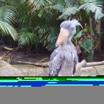 那須どうぶつ王国に投稿された画像（2020/12/22）