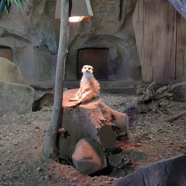 那須どうぶつ王国に投稿された画像（2020/12/22）