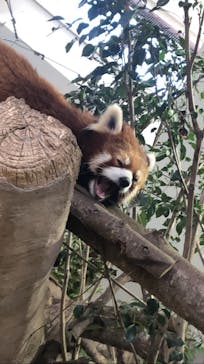 那須どうぶつ王国に投稿された画像（2020/12/22）