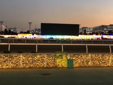 東京メガイルミに投稿された画像（2020/12/22）