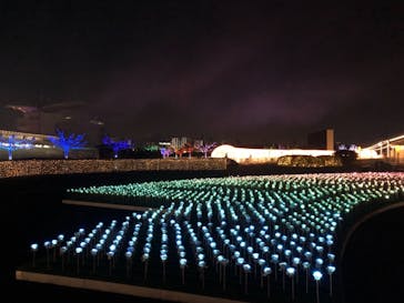 東京メガイルミに投稿された画像（2020/12/22）