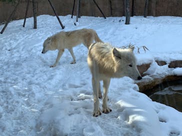那須どうぶつ王国に投稿された画像（2020/12/22）