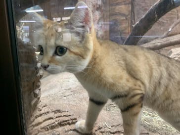 那須どうぶつ王国に投稿された画像（2020/12/22）