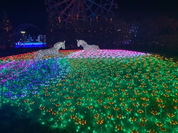 東武動物公園に投稿された画像（2020/12/22）