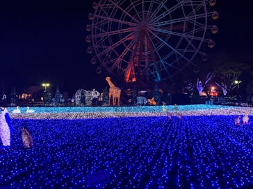 東武動物公園に投稿された画像（2020/12/22）