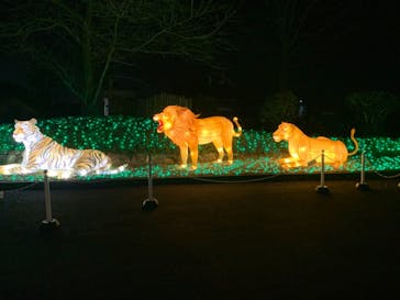 東武動物公園に投稿された画像（2020/12/22）