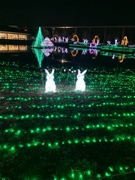 東武動物公園に投稿された画像（2020/12/22）