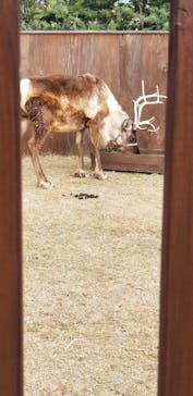 神戸どうぶつ王国に投稿された画像（2020/12/22）