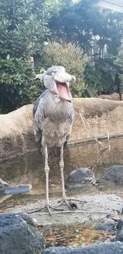 神戸どうぶつ王国に投稿された画像（2020/12/22）