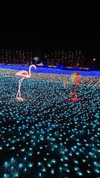 東武動物公園に投稿された画像（2020/12/22）