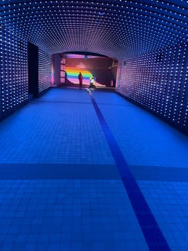 東京メガイルミに投稿された画像（2020/12/22）