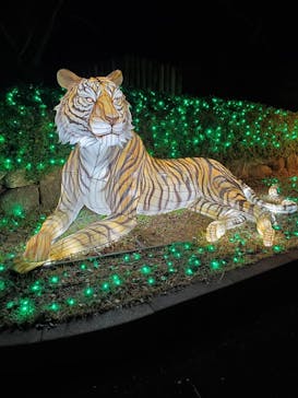 東武動物公園に投稿された画像（2020/12/22）