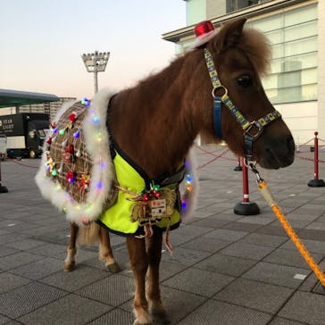 東京メガイルミに投稿された画像（2020/12/22）