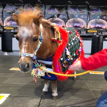 東京メガイルミに投稿された画像（2020/12/22）
