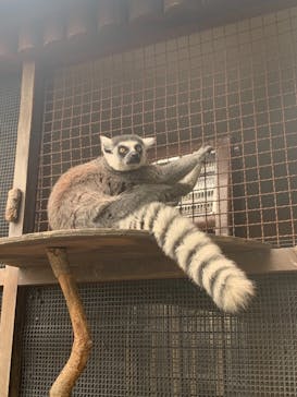 神戸どうぶつ王国に投稿された画像（2020/12/22）