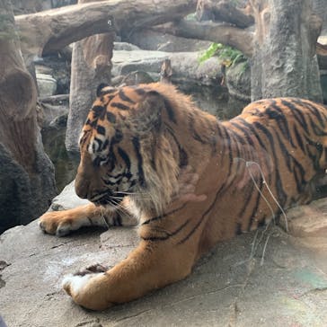 神戸どうぶつ王国に投稿された画像（2020/12/22）