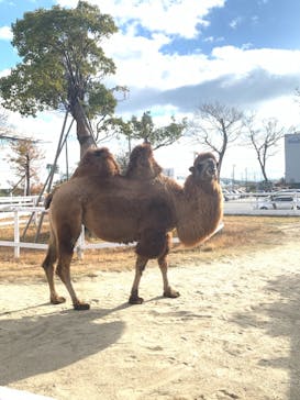 神戸どうぶつ王国に投稿された画像（2020/12/22）