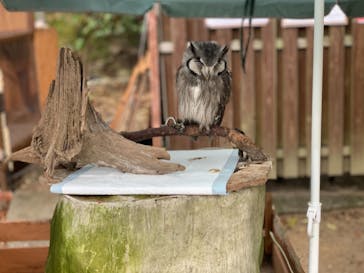 しろとり動物園に投稿された画像（2020/12/22）