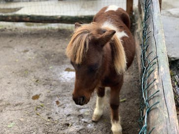 しろとり動物園に投稿された画像（2020/12/22）