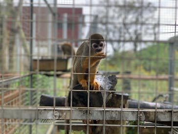 しろとり動物園に投稿された画像（2020/12/22）