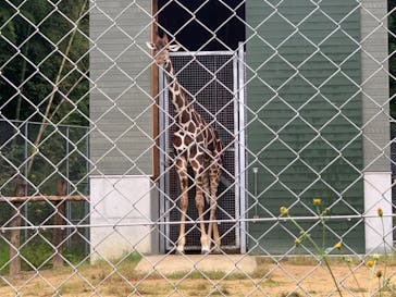 しろとり動物園に投稿された画像（2020/12/22）
