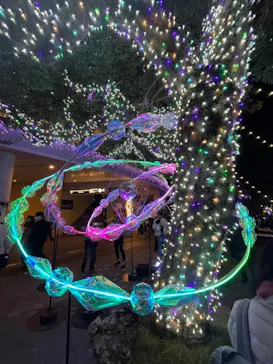 江の島シーキャンドルに投稿された画像（2020/12/22）