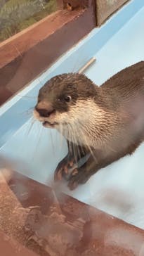 ゼロ距離水族館 伊勢シーパラダイスに投稿された画像（2020/12/22）