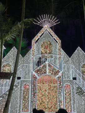 美らヤシパークオキナワ・東南植物楽園に投稿された画像（2020/12/22）