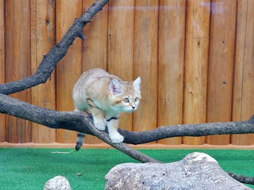 神戸どうぶつ王国に投稿された画像（2020/12/22）