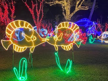 美らヤシパークオキナワ・東南植物楽園に投稿された画像（2020/12/22）