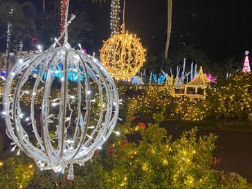 美らヤシパークオキナワ・東南植物楽園に投稿された画像（2020/12/22）