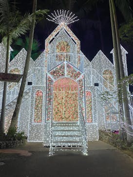 美らヤシパークオキナワ・東南植物楽園に投稿された画像（2020/12/22）