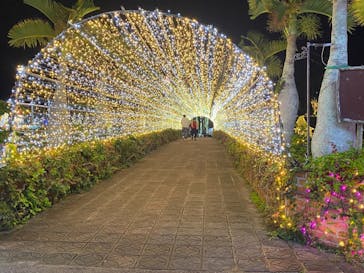 美らヤシパークオキナワ・東南植物楽園に投稿された画像（2020/12/22）